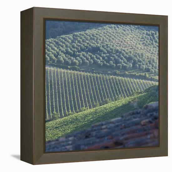 Tuscany, Sense of Place-Mike Burton-Framed Premier Image Canvas