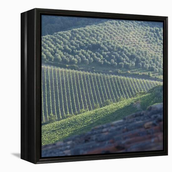 Tuscany, Sense of Place-Mike Burton-Framed Premier Image Canvas