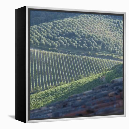 Tuscany, Sense of Place-Mike Burton-Framed Premier Image Canvas