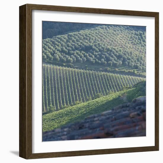 Tuscany, Sense of Place-Mike Burton-Framed Photographic Print