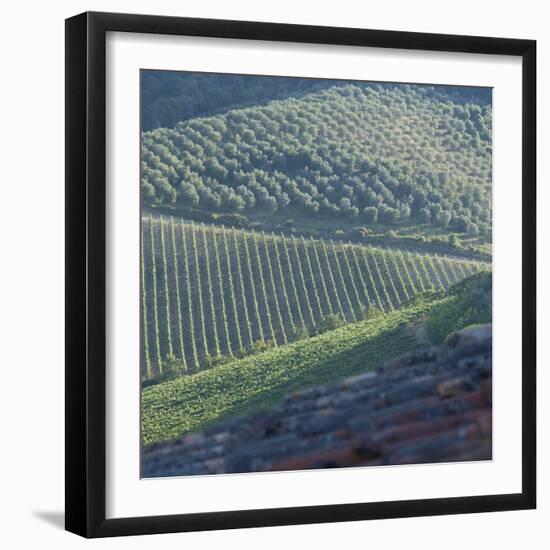 Tuscany, Sense of Place-Mike Burton-Framed Photographic Print