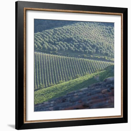 Tuscany, Sense of Place-Mike Burton-Framed Photographic Print