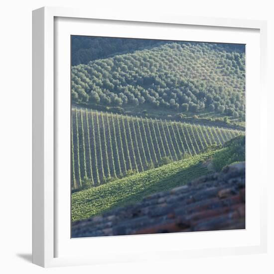 Tuscany, Sense of Place-Mike Burton-Framed Photographic Print