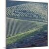 Tuscany, Sense of Place-Mike Burton-Mounted Photographic Print