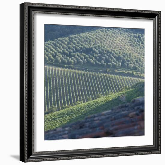 Tuscany, Sense of Place-Mike Burton-Framed Photographic Print