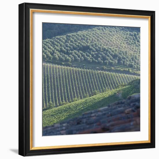 Tuscany, Sense of Place-Mike Burton-Framed Photographic Print