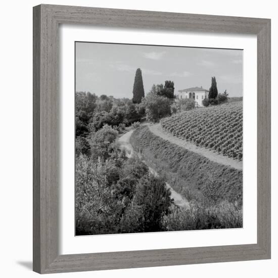 Tuscany V-Alan Blaustein-Framed Photographic Print