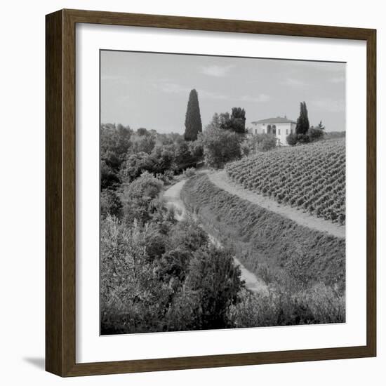 Tuscany V-Alan Blaustein-Framed Photographic Print