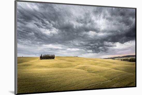 Tuscany, Val D'Orcia, Italy. Cypress Trees in a Yellow Meadow Field with Clouds Gathering-Francesco Riccardo Iacomino-Mounted Photographic Print