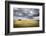 Tuscany, Val D'Orcia, Italy. Cypress Trees in a Yellow Meadow Field with Clouds Gathering-Francesco Riccardo Iacomino-Framed Photographic Print