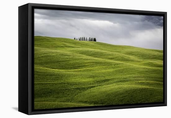 Tuscany, Val D'Orcia, Italy. Cypress Trees in Green Meadow Field with Clouds Gathering-Francesco Riccardo Iacomino-Framed Premier Image Canvas