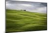 Tuscany, Val D'Orcia, Italy. Cypress Trees in Green Meadow Field with Clouds Gathering-Francesco Riccardo Iacomino-Mounted Photographic Print