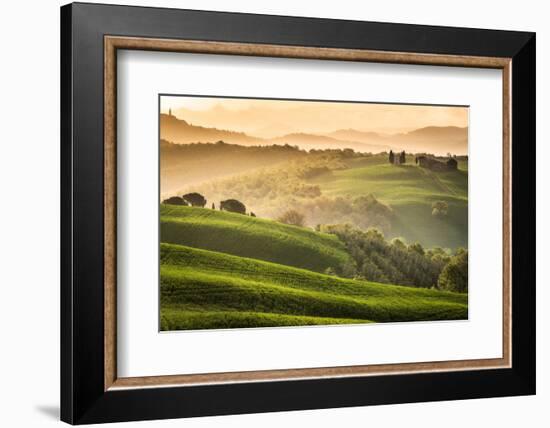 Tuscany, Val d'Orcia. Italy-Francesco Riccardo Iacomino-Framed Photographic Print