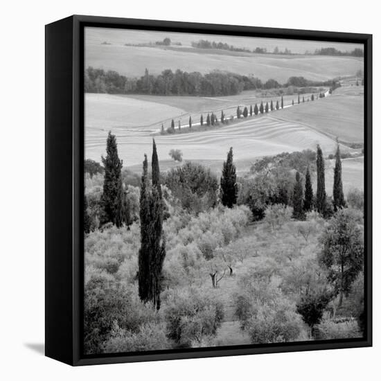 Tuscany VI-Alan Blaustein-Framed Stretched Canvas