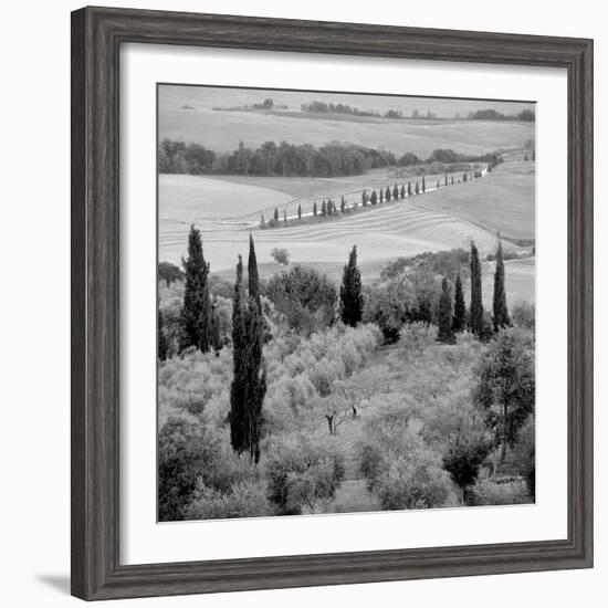 Tuscany VI-Alan Blaustein-Framed Photographic Print