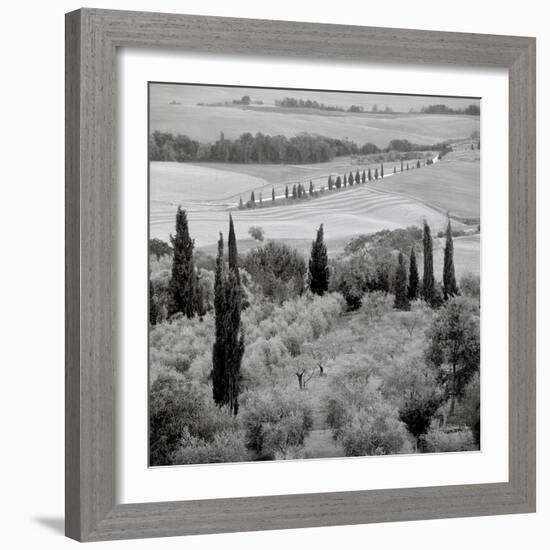 Tuscany VI-Alan Blaustein-Framed Photographic Print