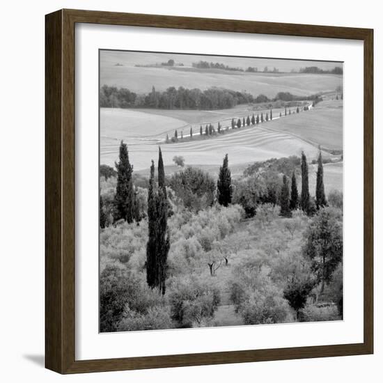 Tuscany VI-Alan Blaustein-Framed Photographic Print