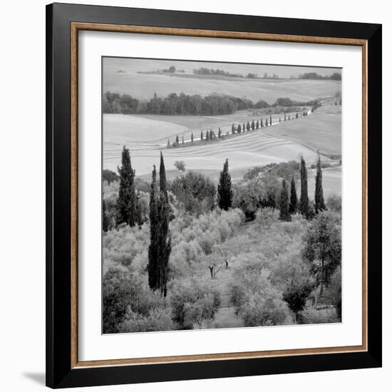 Tuscany VI-Alan Blaustein-Framed Photographic Print