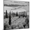 Tuscany VI-Alan Blaustein-Mounted Photographic Print