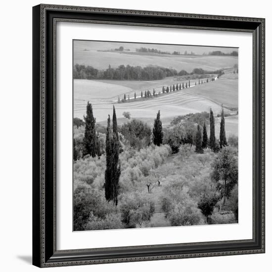 Tuscany VI-Alan Blaustein-Framed Photographic Print