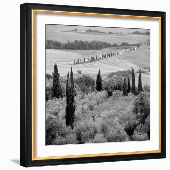 Tuscany VI-Alan Blaustein-Framed Photographic Print