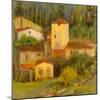 Tuscany Villaggio - Detail-Longo-Mounted Giclee Print