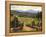 Tuscany Vines-Michael Swanson-Framed Stretched Canvas