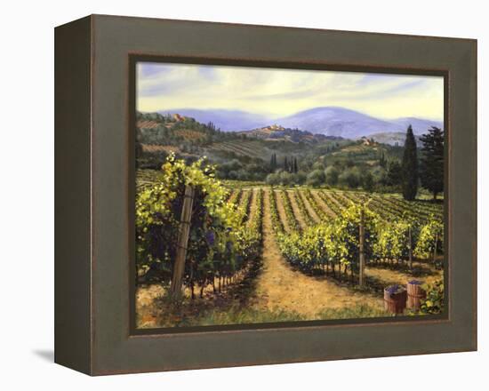 Tuscany Vines-Michael Swanson-Framed Stretched Canvas