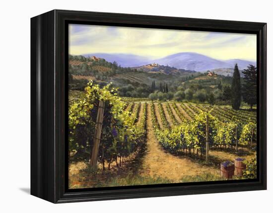 Tuscany Vines-Michael Swanson-Framed Stretched Canvas