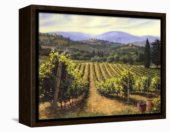 Tuscany Vines-Michael Swanson-Framed Stretched Canvas