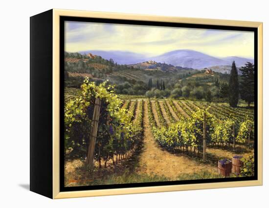 Tuscany Vines-Michael Swanson-Framed Stretched Canvas