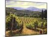 Tuscany Vines-Michael Swanson-Mounted Art Print