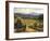 Tuscany Vines-Michael Swanson-Framed Premium Giclee Print