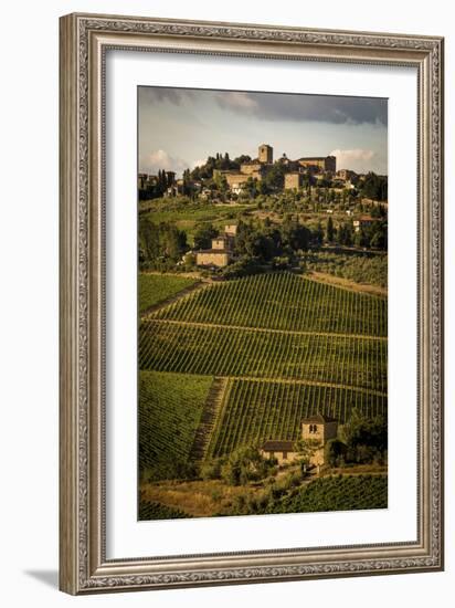 Tuscany Vineyard 02-Dan Ballard-Framed Photographic Print