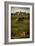 Tuscany Vineyard 02-Dan Ballard-Framed Photographic Print