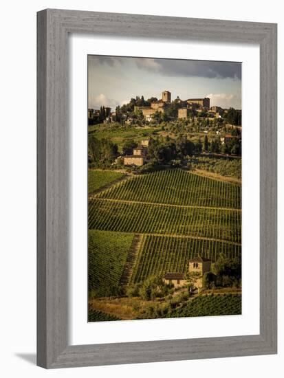 Tuscany Vineyard 02-Dan Ballard-Framed Photographic Print