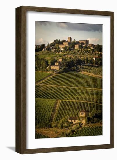 Tuscany Vineyard 02-Dan Ballard-Framed Photographic Print