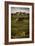 Tuscany Vineyard 02-Dan Ballard-Framed Photographic Print