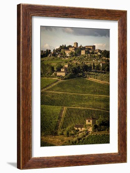 Tuscany Vineyard 02-Dan Ballard-Framed Photographic Print