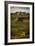 Tuscany Vineyard 02-Dan Ballard-Framed Photographic Print