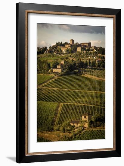 Tuscany Vineyard 02-Dan Ballard-Framed Photographic Print