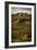 Tuscany Vineyard 02-Dan Ballard-Framed Photographic Print