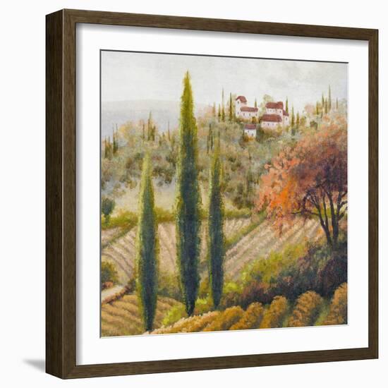 Tuscany Vineyard II-Michael Marcon-Framed Art Print