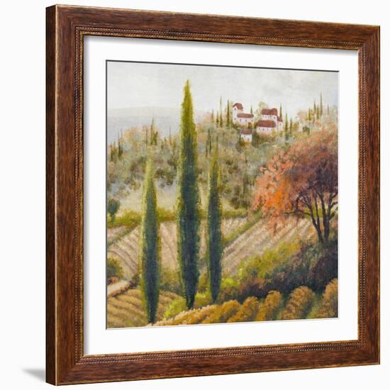 Tuscany Vineyard II-Michael Marcon-Framed Art Print