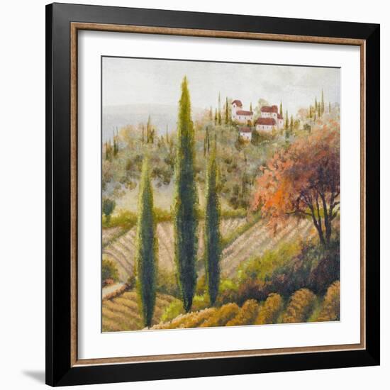 Tuscany Vineyard II-Michael Marcon-Framed Art Print