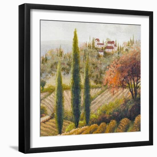 Tuscany Vineyard II-Michael Marcon-Framed Art Print