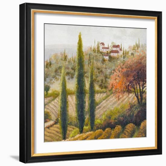 Tuscany Vineyard II-Michael Marcon-Framed Art Print