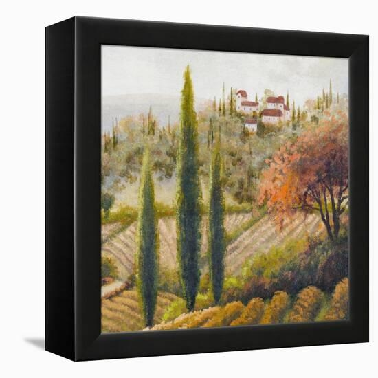 Tuscany Vineyard II-Michael Marcon-Framed Stretched Canvas