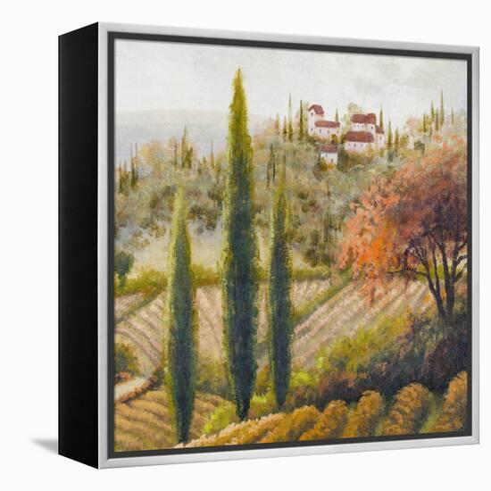 Tuscany Vineyard II-Michael Marcon-Framed Stretched Canvas