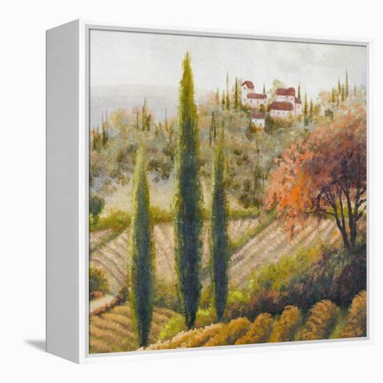 Tuscany Vineyard II-Michael Marcon-Framed Stretched Canvas